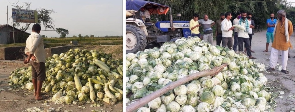 तरकारी बिक्न छाडेपछि सडकमै फाल्न किसान बाध्य