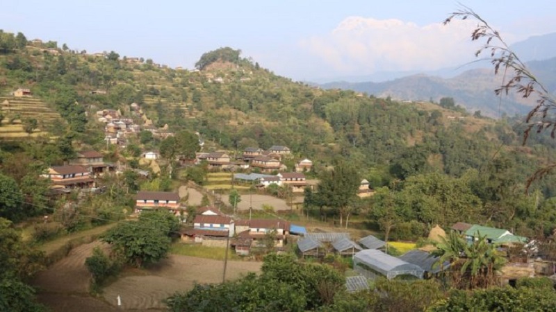 कोरोनाले जगायो माटोको माया, नमूना बस्ती बन्दै कुइरेडाँडा