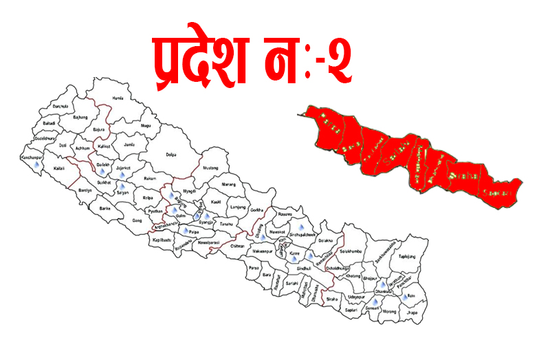 प्रदेश २ मा थप ६० जनामा कोरोना संक्रमण पुष्टि