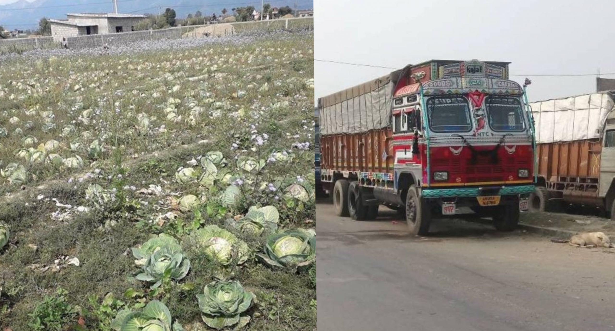 किसानको पसिना खेतबारीमै सुक्यो, लकडाउनमा भारतबाट ४ अर्बको तरकारी आयात