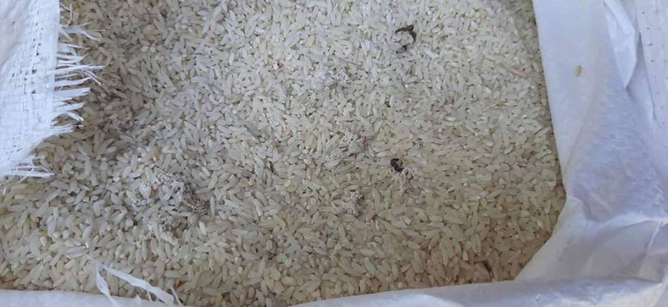 राहतमा कुहिएको चामल दिने ठाकुर ट्रेड लिङ्कलाई २ लाख जरिवाना