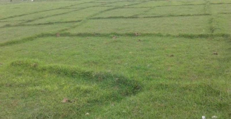 एक हजार छ सय रोपनीमा ‘बृहत् बैरेनी जग्गा एकीकरण’