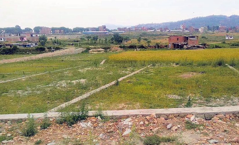ऐलानी जग्गाको नापजाँच थालियो