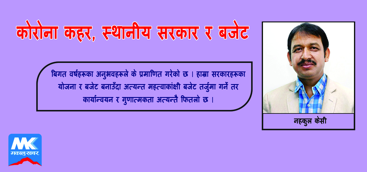 व्यवहारिक बजेट निर्माणमा स्थानीय तहलाई सुझाब