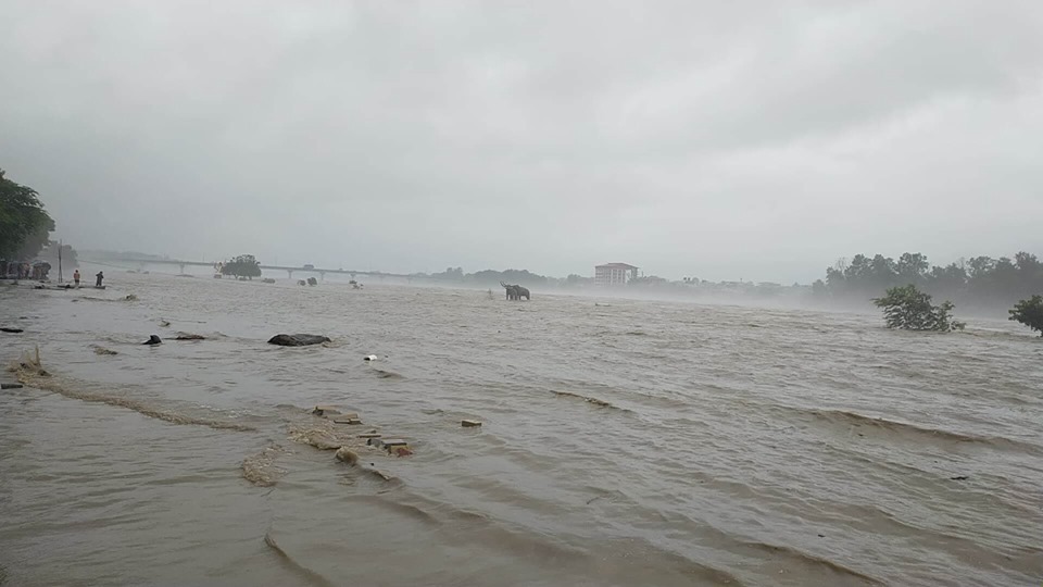 नारायणीमा पानीको सतह खतरातर्फ बढ्दै, सचेत रहन आग्रह