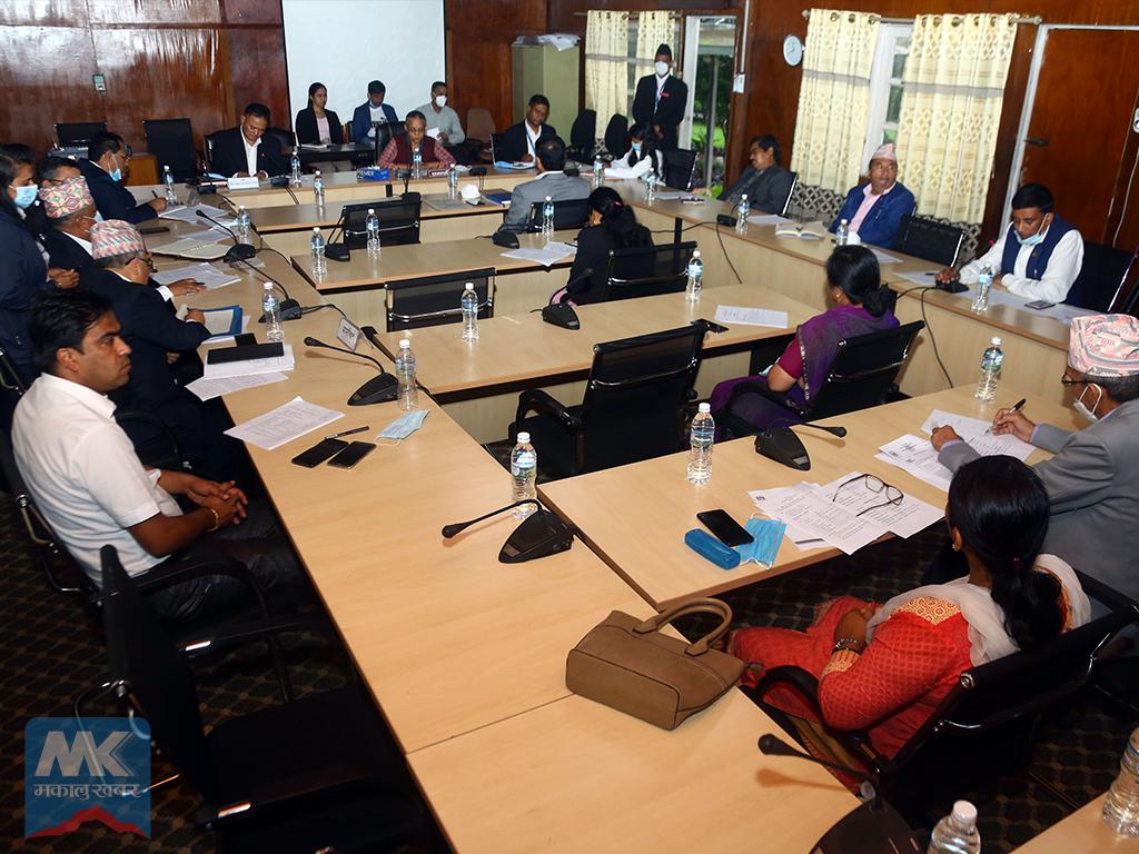 रुग्ण पुलको विवरण र निर्माणका लागि कार्ययोजना बनाउन निर्देशन