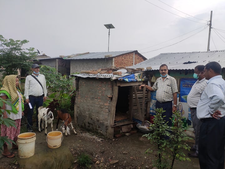 खैरहनीमा विस्तार गरिँदै बाख्रापालन, पकेट प्याकेज कार्यक्रमको अनुगमन