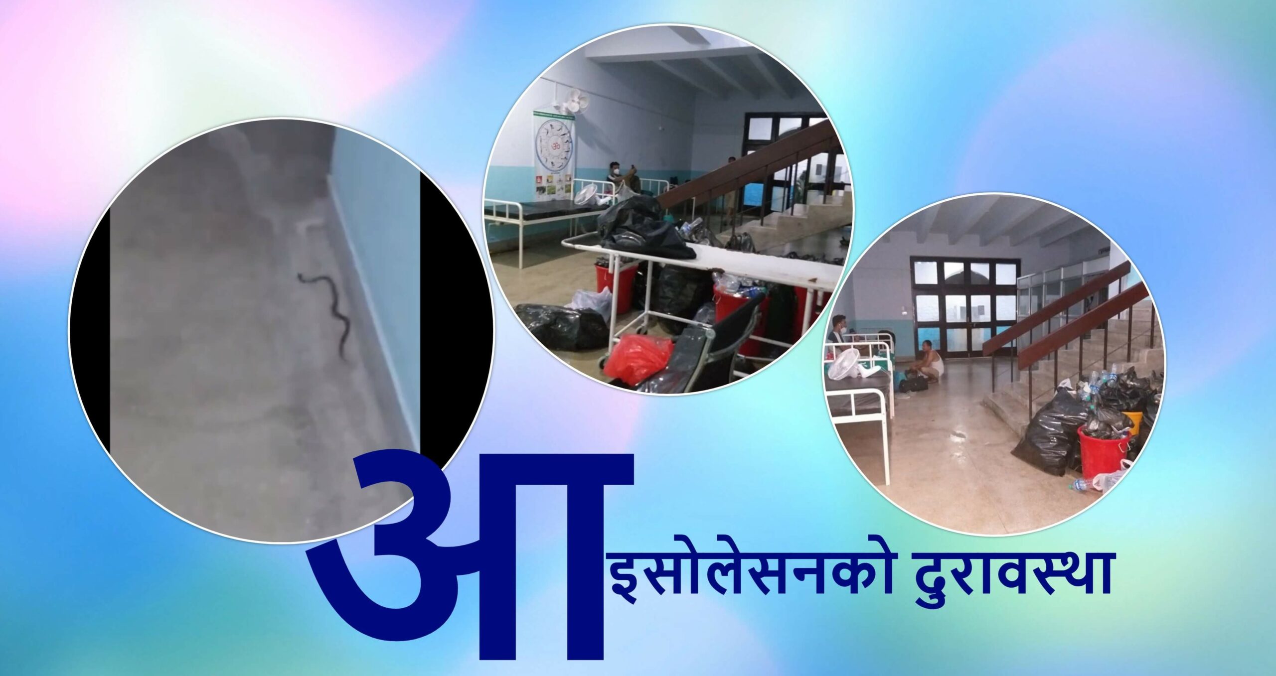रातको ११ बजे कोरोना संक्रमितको कोठामा सर्प छिर्यो, आइसोलेसन व्यवस्थित नभएको गुनासो