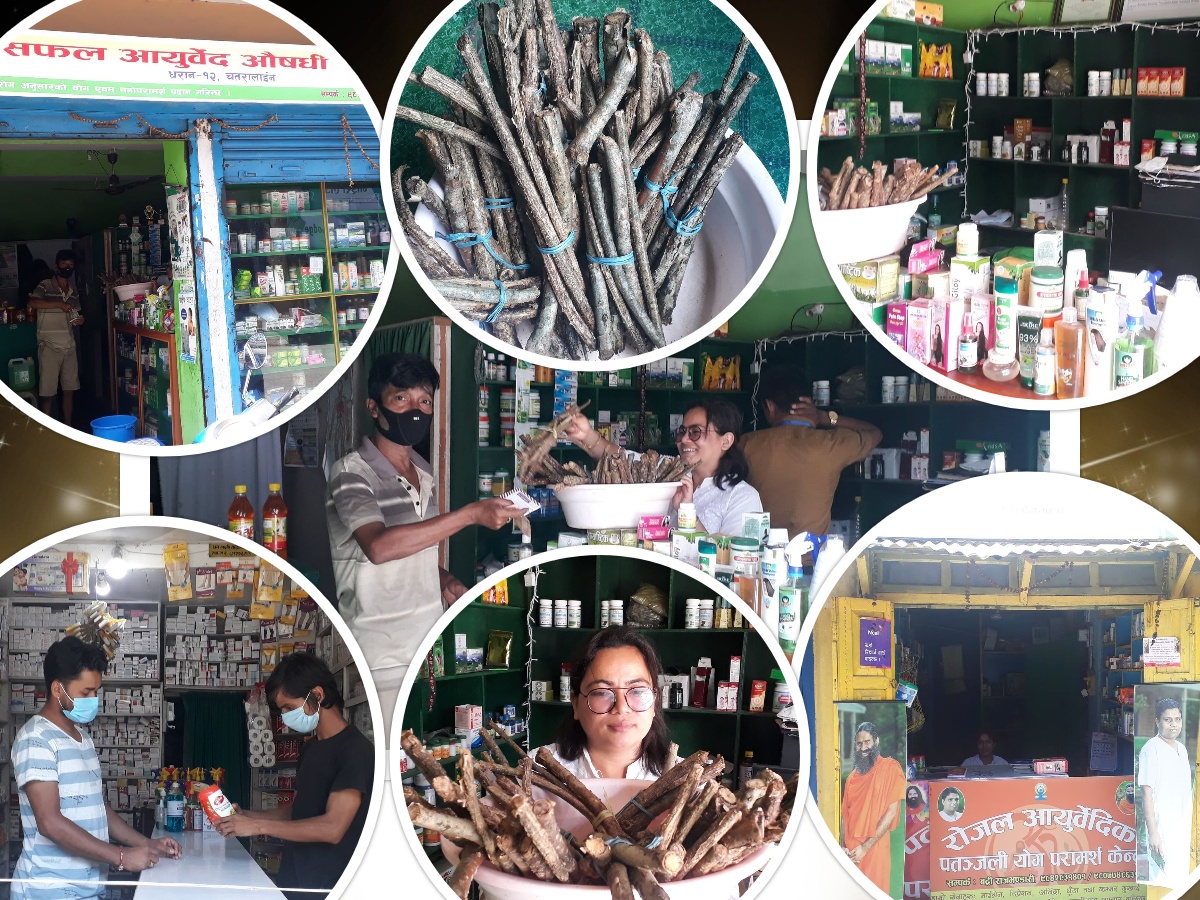 कोभिड १९ बाट बच्न आयुर्वेदिक औषधिको माग बढ्दो