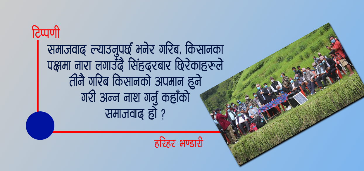 ‘धानमात्र हैन, नेताहरुको बुद्धिपनि सोत्तरै भएछ’
