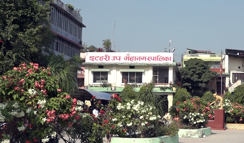 इटहरी उपमहानगरपालिकामा करमा छुटैछुट