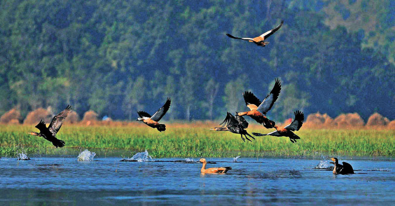 कोशीटप्पुमा ३४ प्रतिशतले पर्यटक आगमनमा कमी