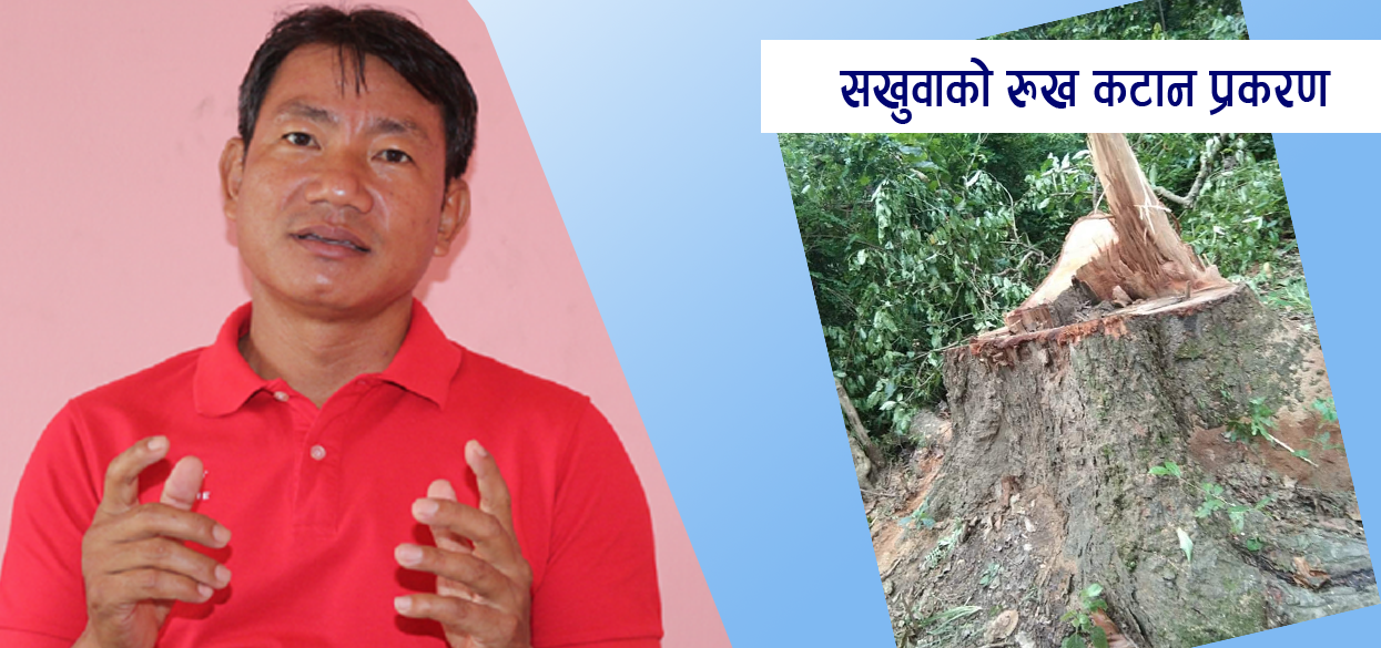 सामुदायिक वनको रुख काटेको छानविन गर्न अनुसन्धान अधिकृत तोकियो, होला त मेयरलाई कारबाही ?