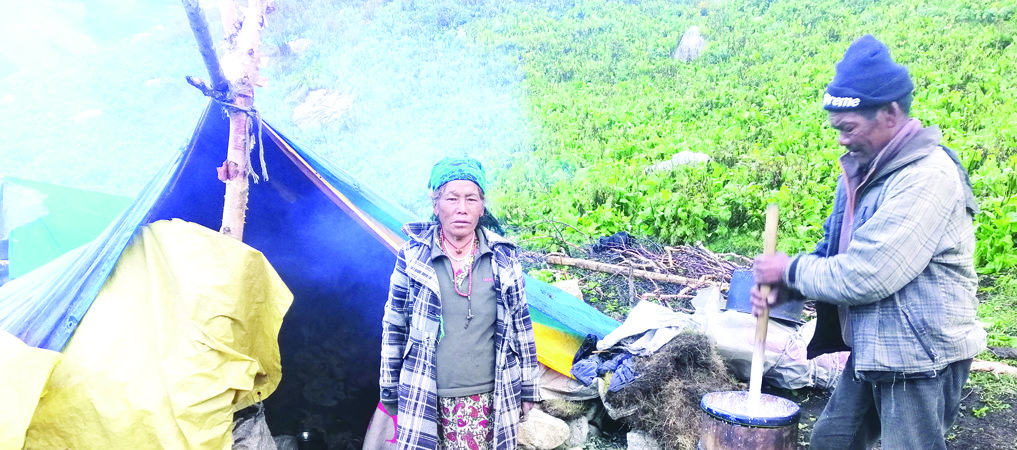 खर्कमै बित्यो आधा शताब्दी