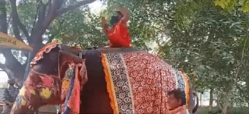 जब बाबा रामदेव हात्तीको पिठ्युँबाट एक्कासी तल खसे…
