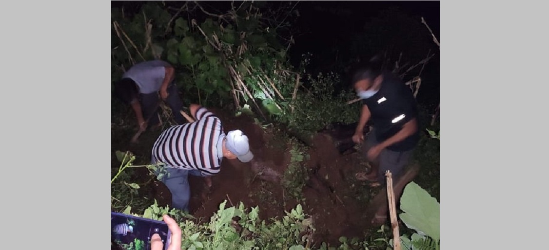 चन्द्रागिरिमा चार राउन्ड गोली प्रहार गरि प्रहरीले ढाल्याे राँगाे