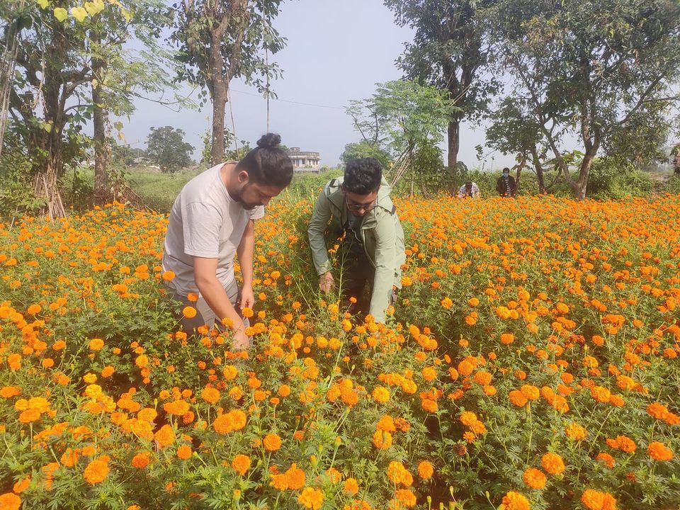 पुष्पखेतिमा युवाको जाँगर, छैन उचित मूल्य