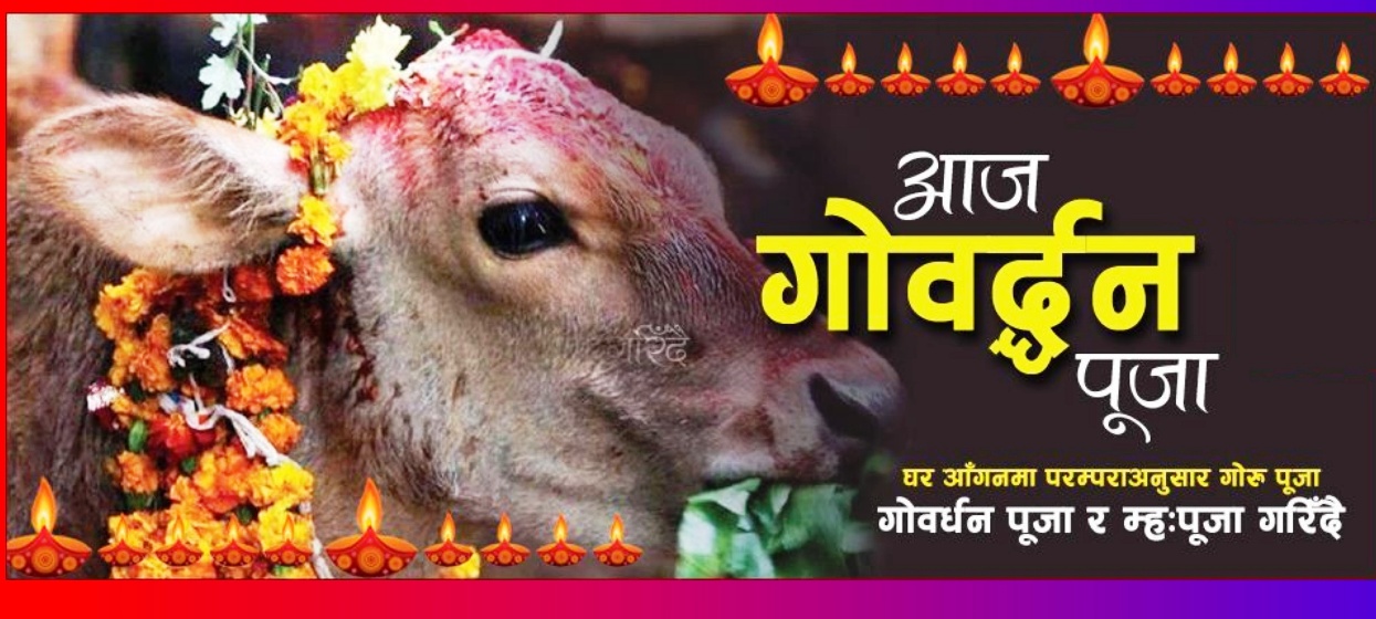 आज तिहारको चौथो दिन गोवर्द्धन पूजा