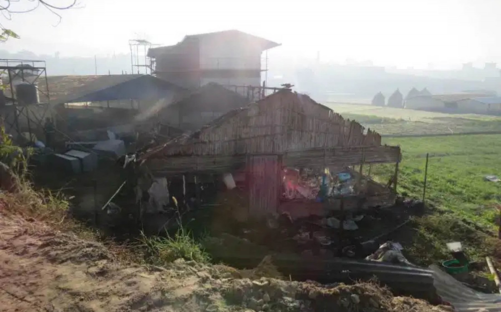 भक्तपुरमा कुखुरा फर्ममा आगलागी हुँदा २७ सय कुखुरा जले