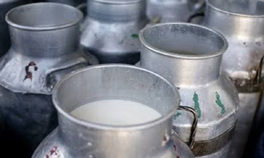 दूध बेचेर किसानले गाउँ भित्र्याए छ करोड