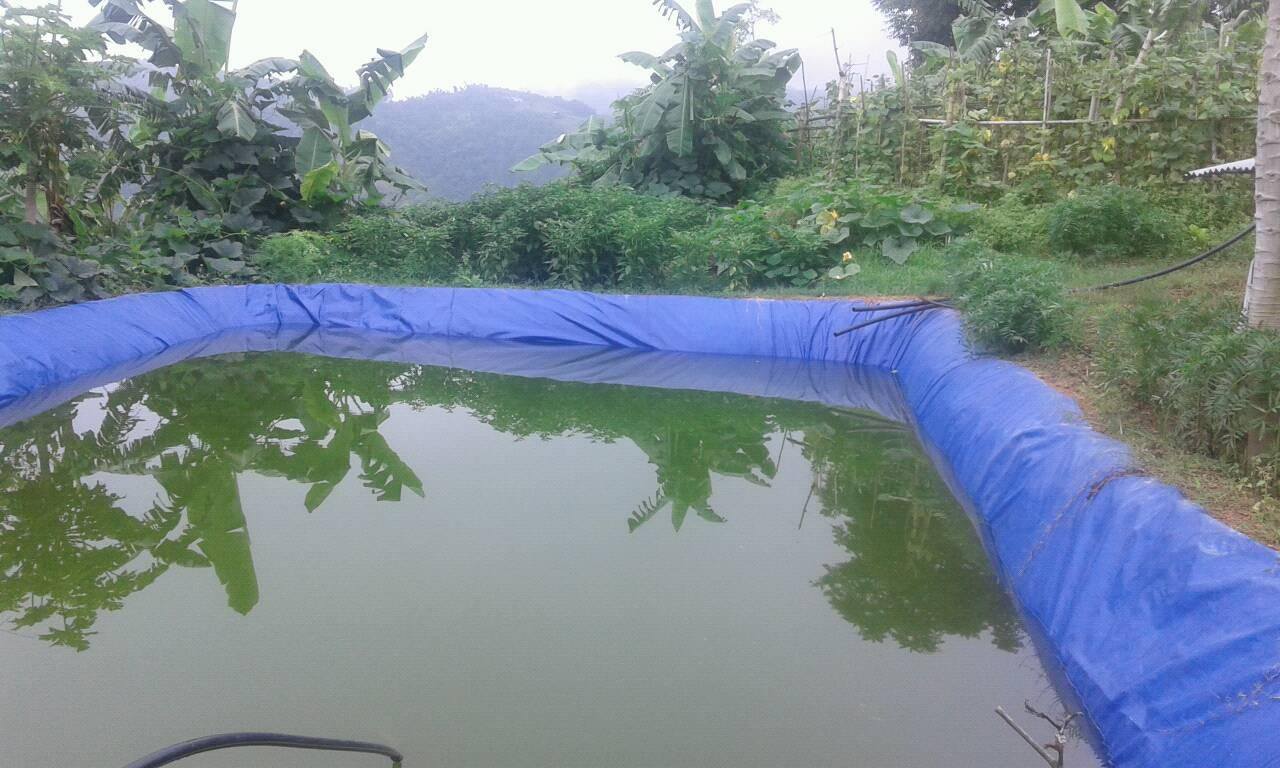 पोखरीमा डुबेर एकैपरिवारका दुईसहित तीन बालिकाको मृत्यु