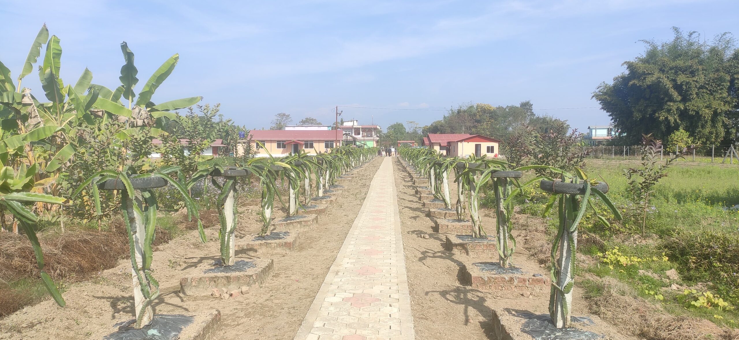 चितवनमा प्रांगारिक फारम तथा अनुसन्धान केन्द्र स्थापना