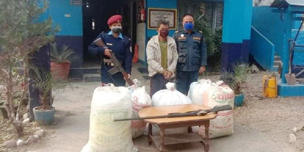 प्रहरी र गाँजा तस्करको समूहबीच गोली हानाहान, एक जना पक्राउ