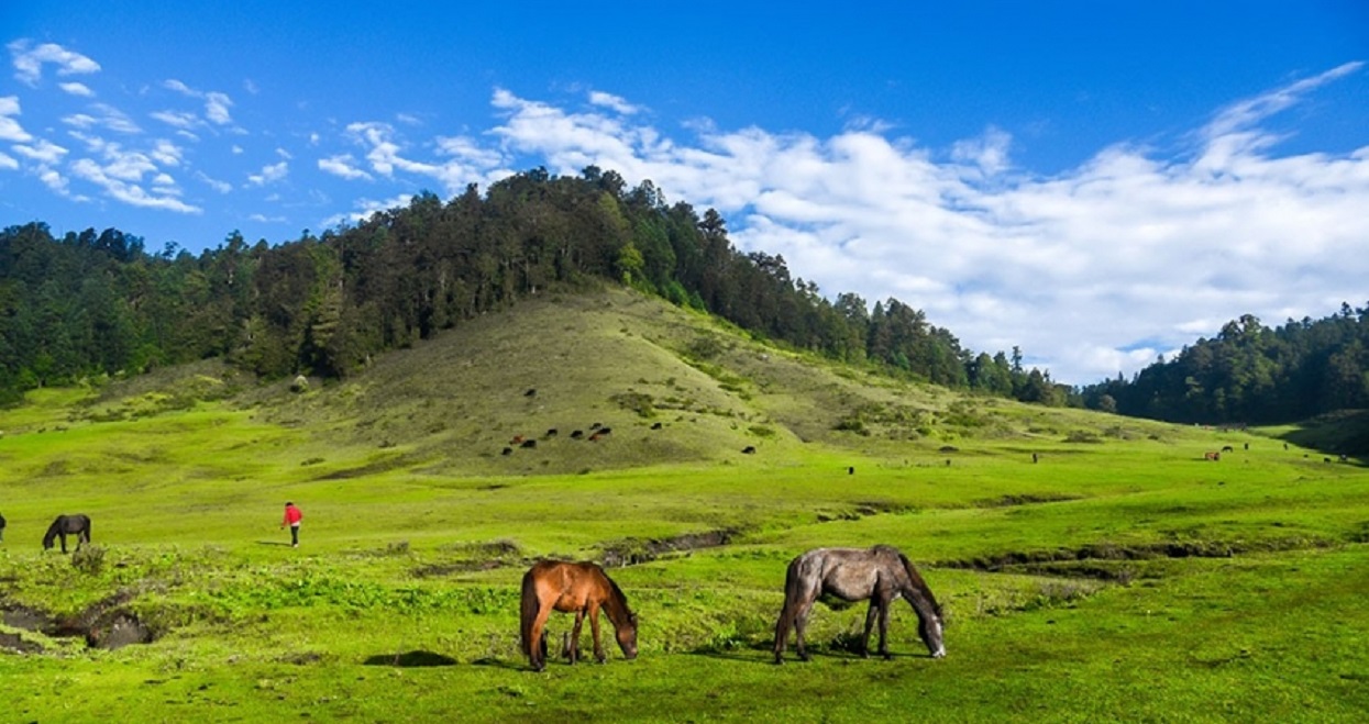 आलेख : खप्तडमा बढ्यो पर्यटकको चहलपहल