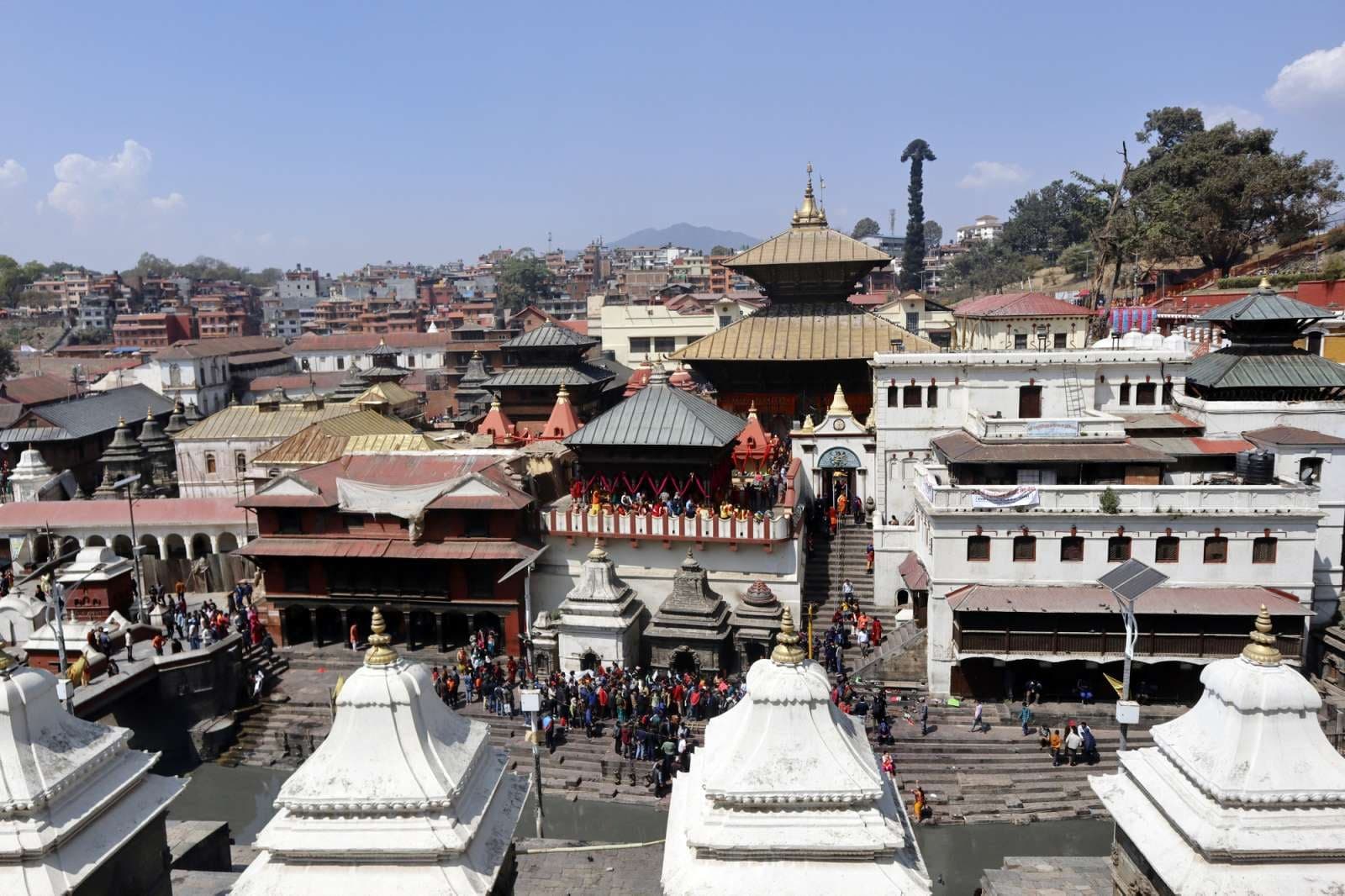पशुपति क्षेत्रबाट २० मेट्रिक टन फोहाेर व्यवस्थापन