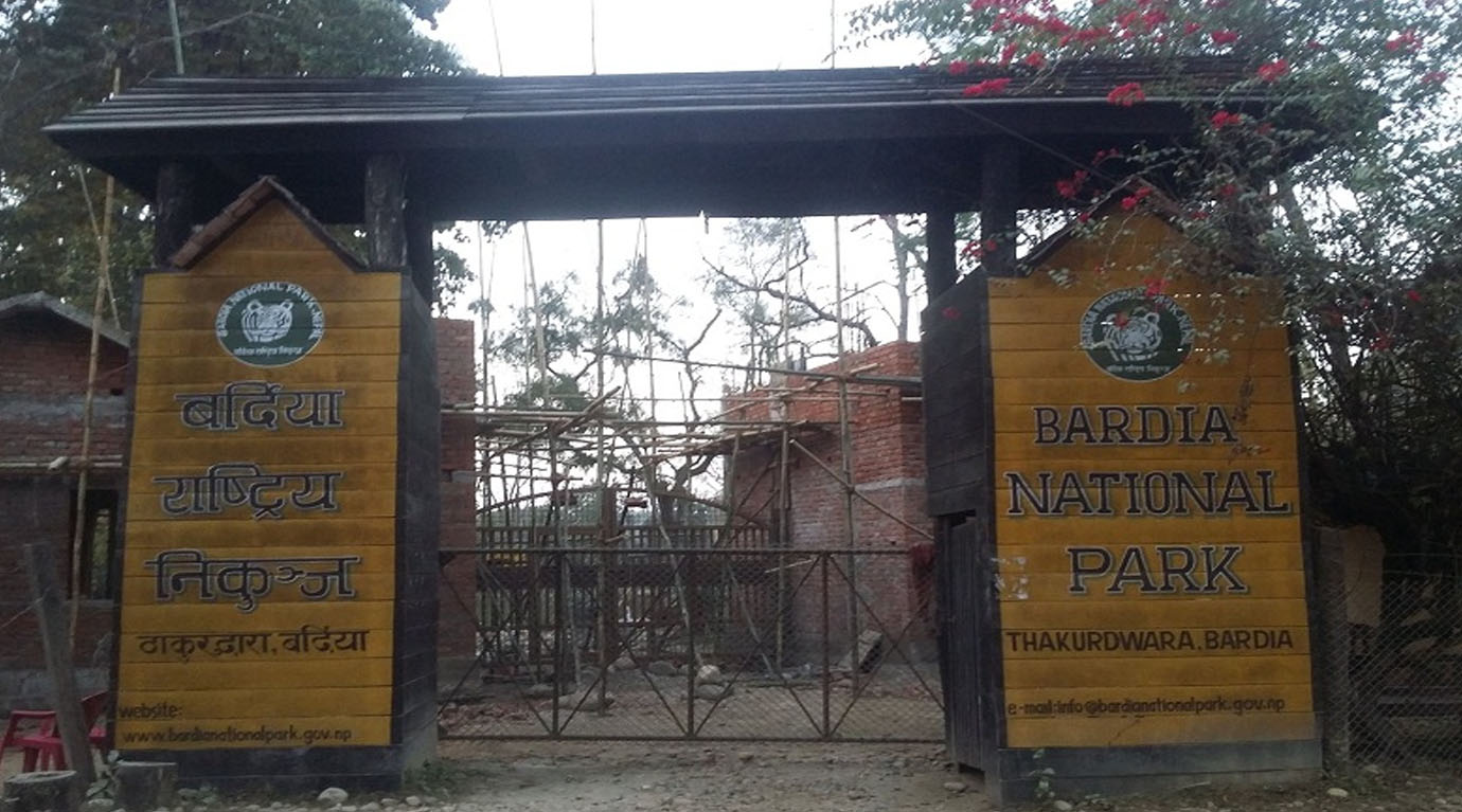 बर्दियामा बाघको आक्रमणबाट फेरि एकजनाको ज्यान गयो