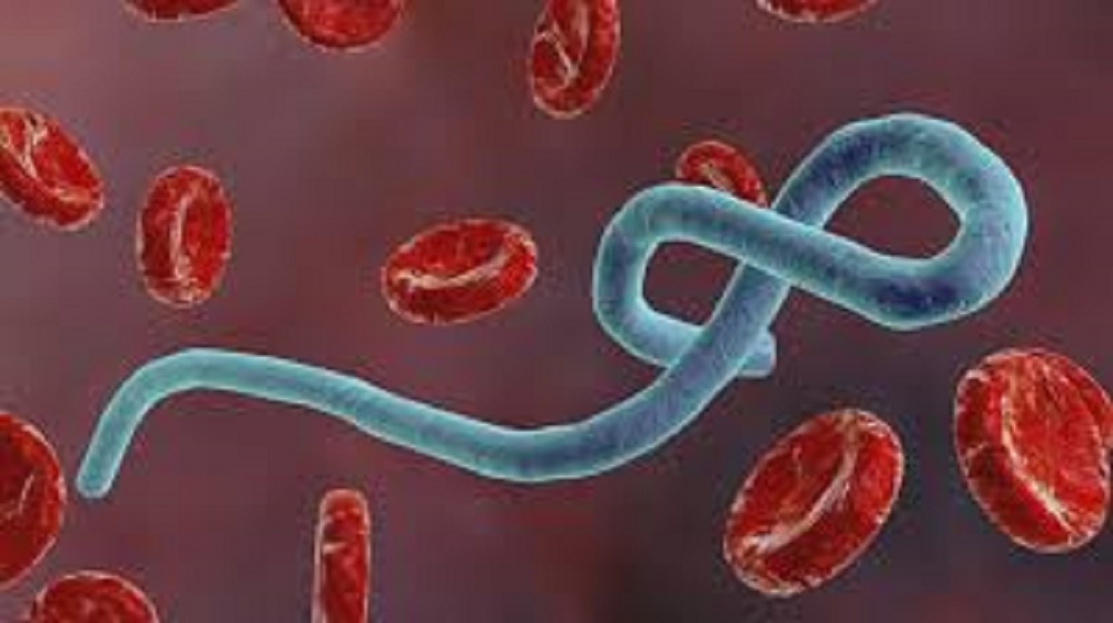 कंगो र गुएनामा इबोला संक्रमण, ११ जनाको मृत्यु