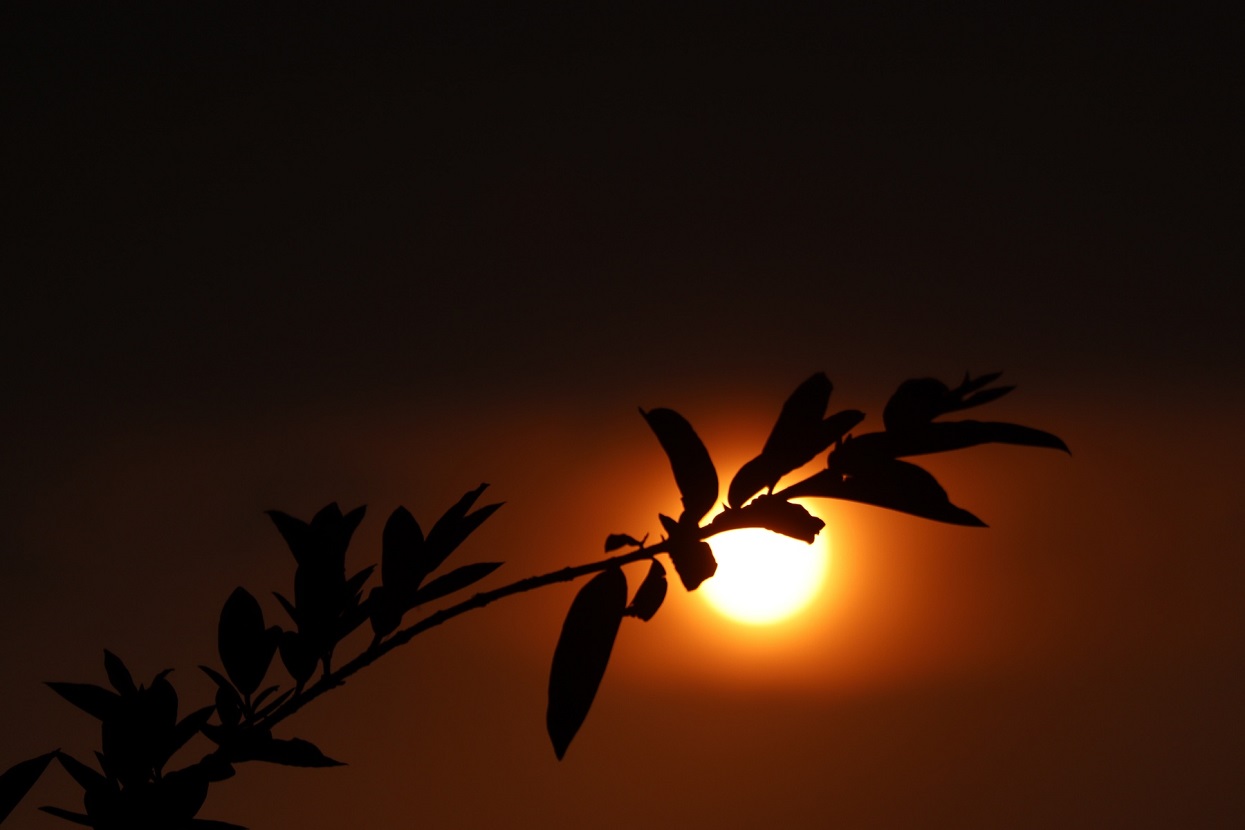 सूर्यास्त (तस्बिरहरू)