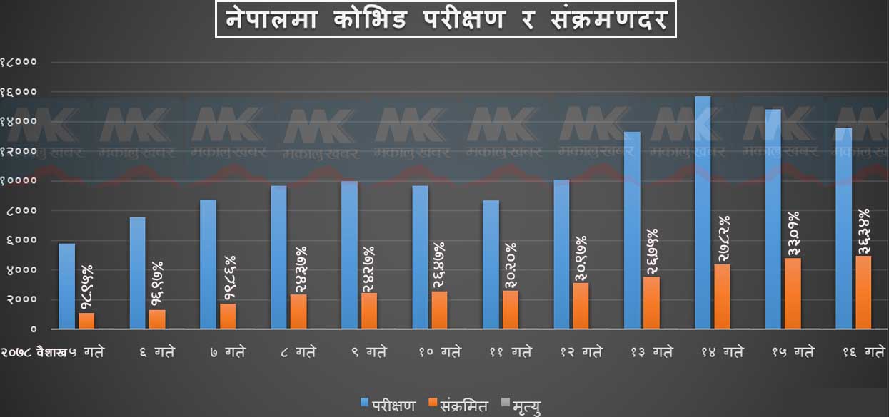 ३६ प्रतिशत बढीमा संक्रमण‚ दैनिक मृत्यु सर्वाधिक