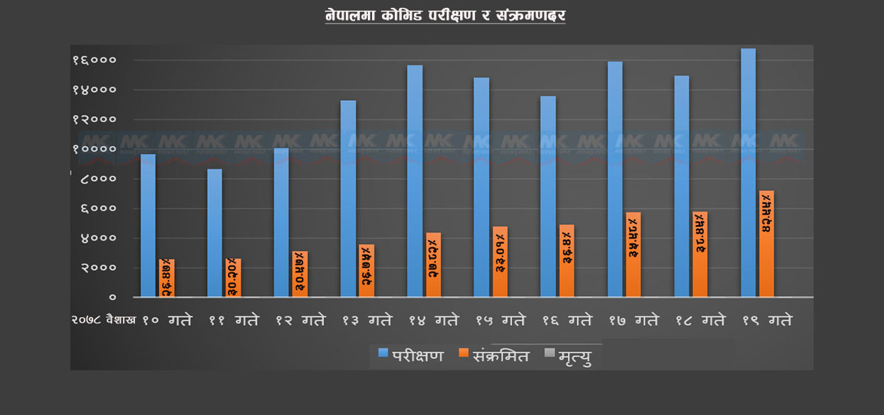 परीक्षण गरिएकामध्ये ४३ प्रतिशतमा कोरोना