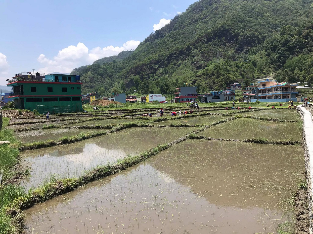 देशभर शुरु भयो राष्ट्रिय खाद्य बैंकको कृषि परियोजना