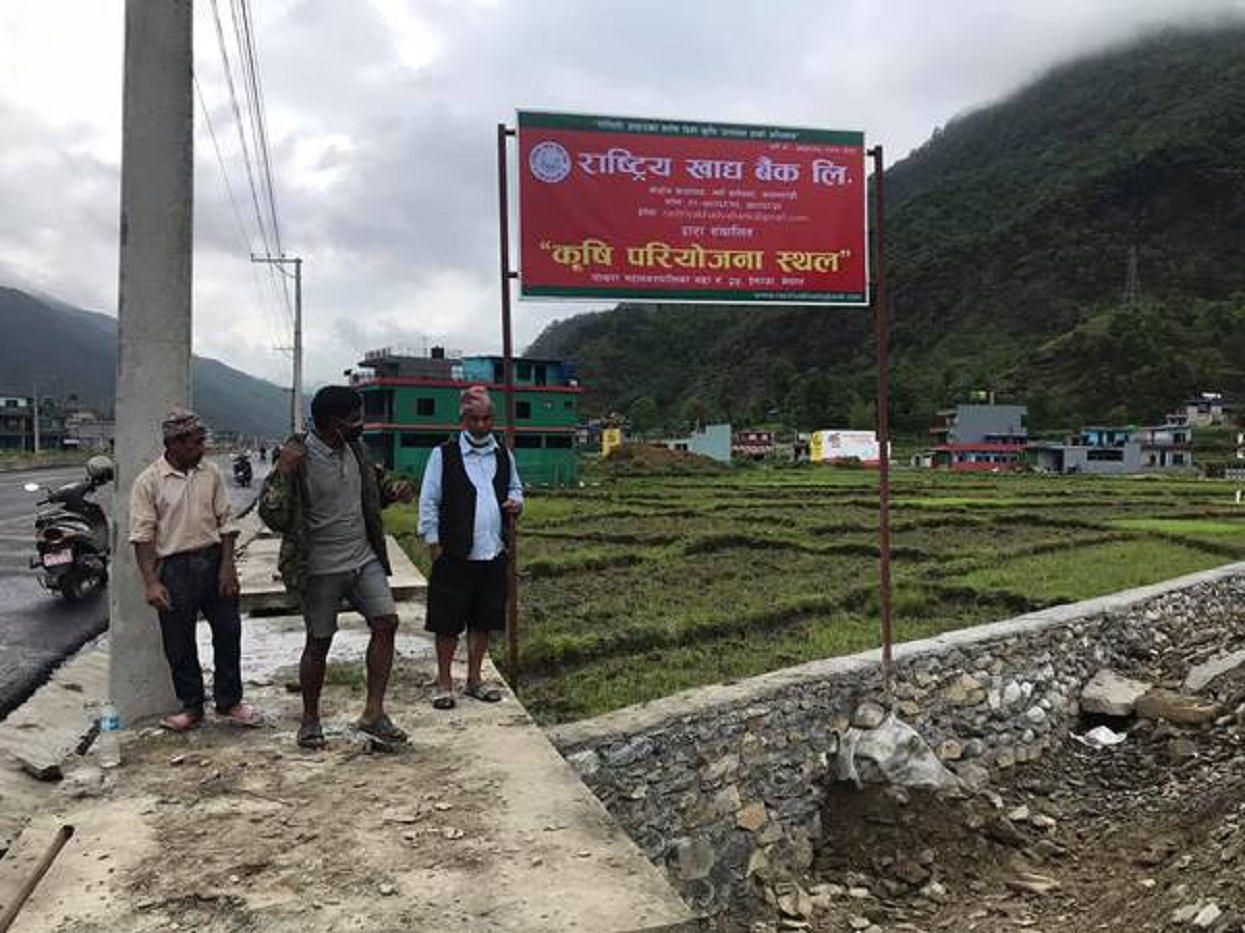 राष्ट्रिय खाद्य बैंकको तेस्रो बृहत कृषि परियोजनाको उद्घाटन