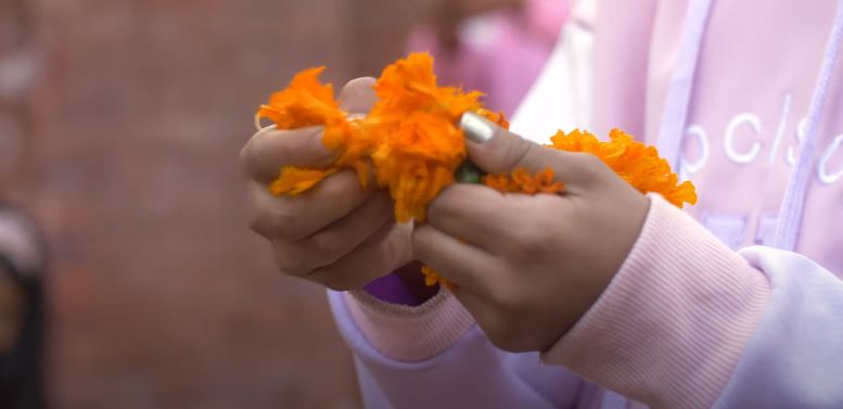 एकतारेको ‘बालुवामा’ सार्वजनिक