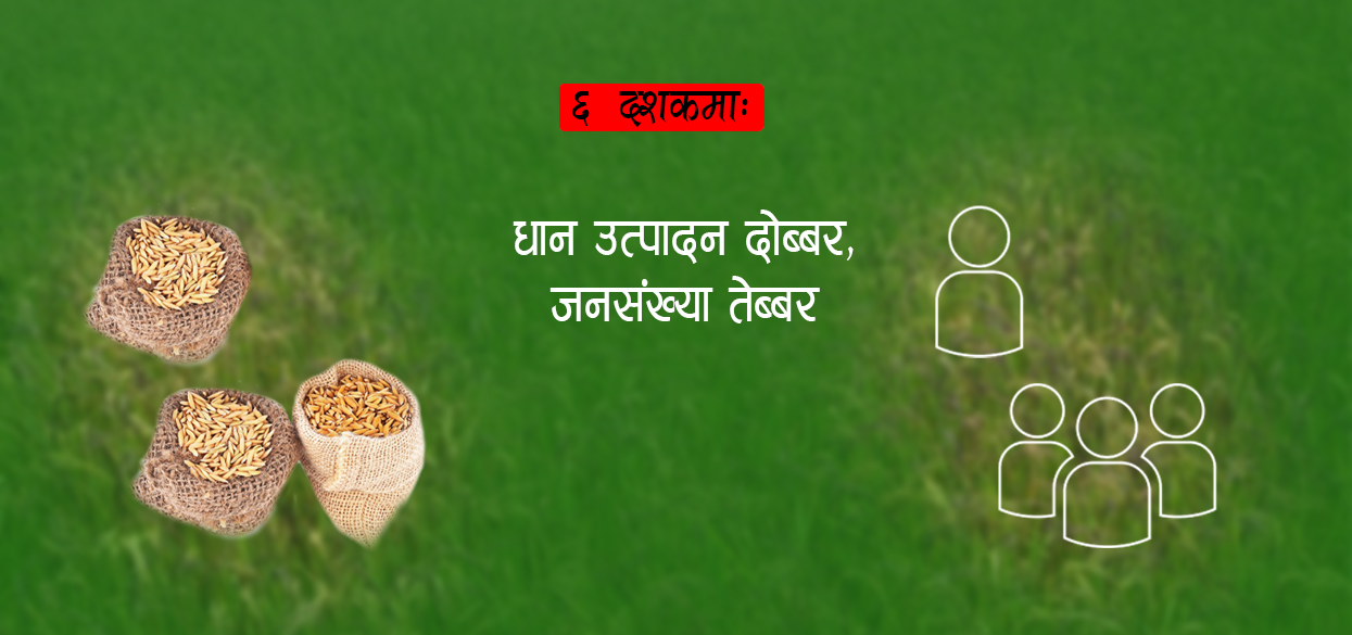 धानको उत्पादकत्व ६ दशकमा दोब्बर, जनसंख्या तेब्बर, चामल आयात बढेको बढ्यै