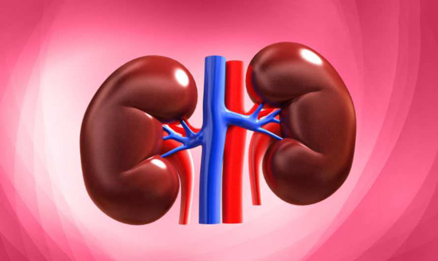 डायलासिस गर्ने मिर्गौला पीडितलाई रगत अभाव
