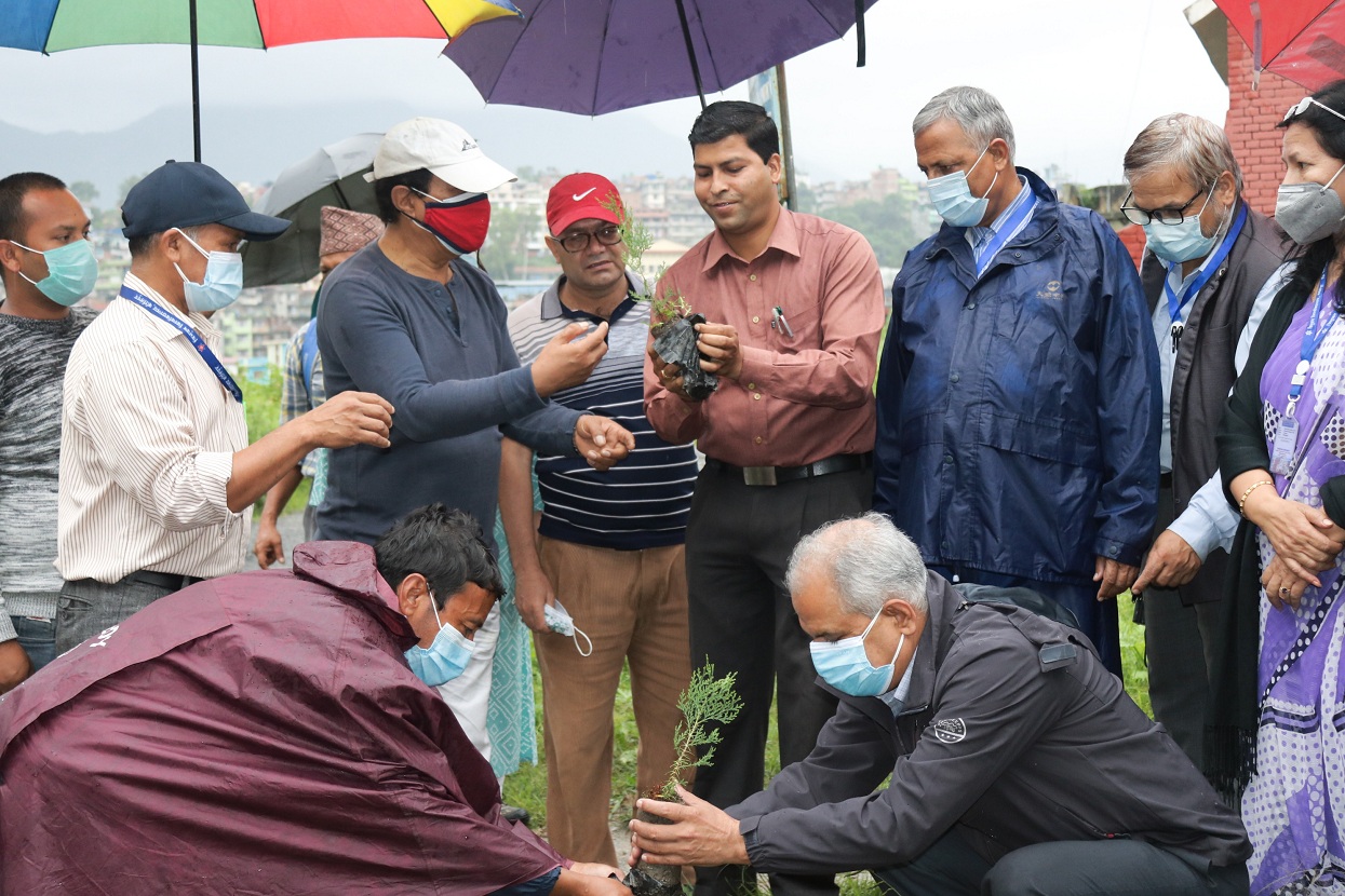 ग्लोबल आइएमई बैंक र विश्वविद्यालय क्याम्पसको सहकार्यमा वृक्षारोपण