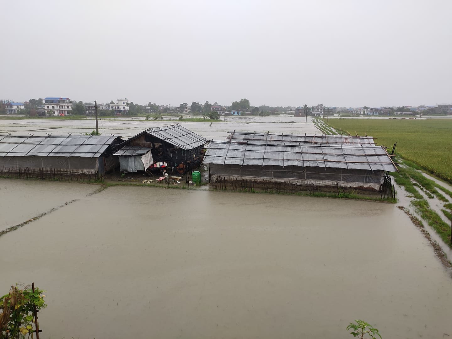 सप्तकोशीमा पानीको बहाव उच्च, वर्षाको कारण ठाउँ-ठाउँमा अवरोध