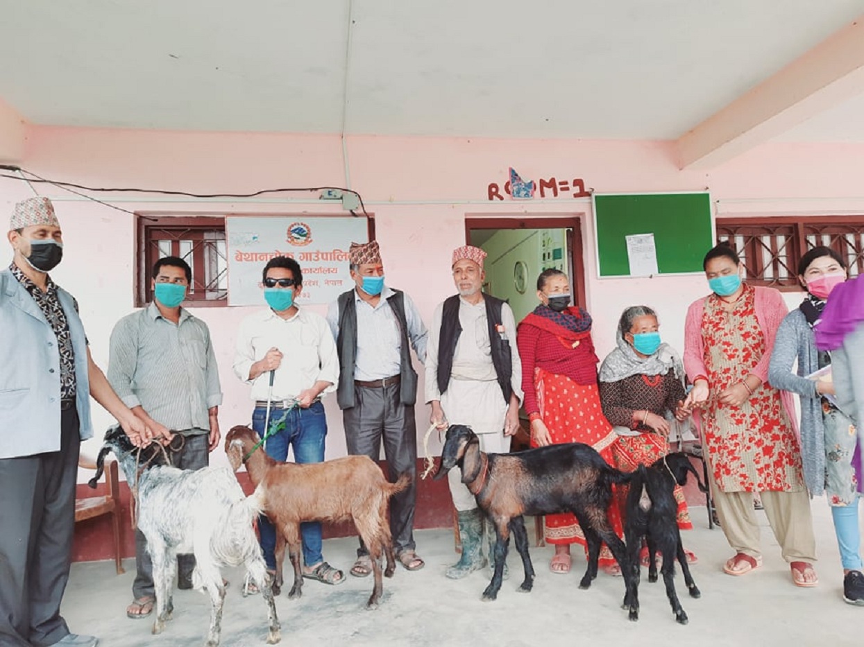 बेथानचोकका २४ जनालाई नि:शुल्क बाख्रा
