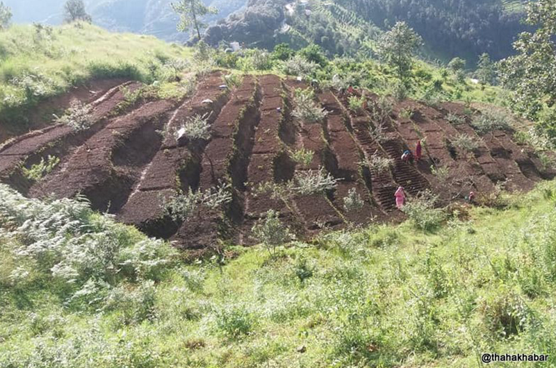 भूमि बैंक सञ्चालनमा स्थानीय तहको चासो