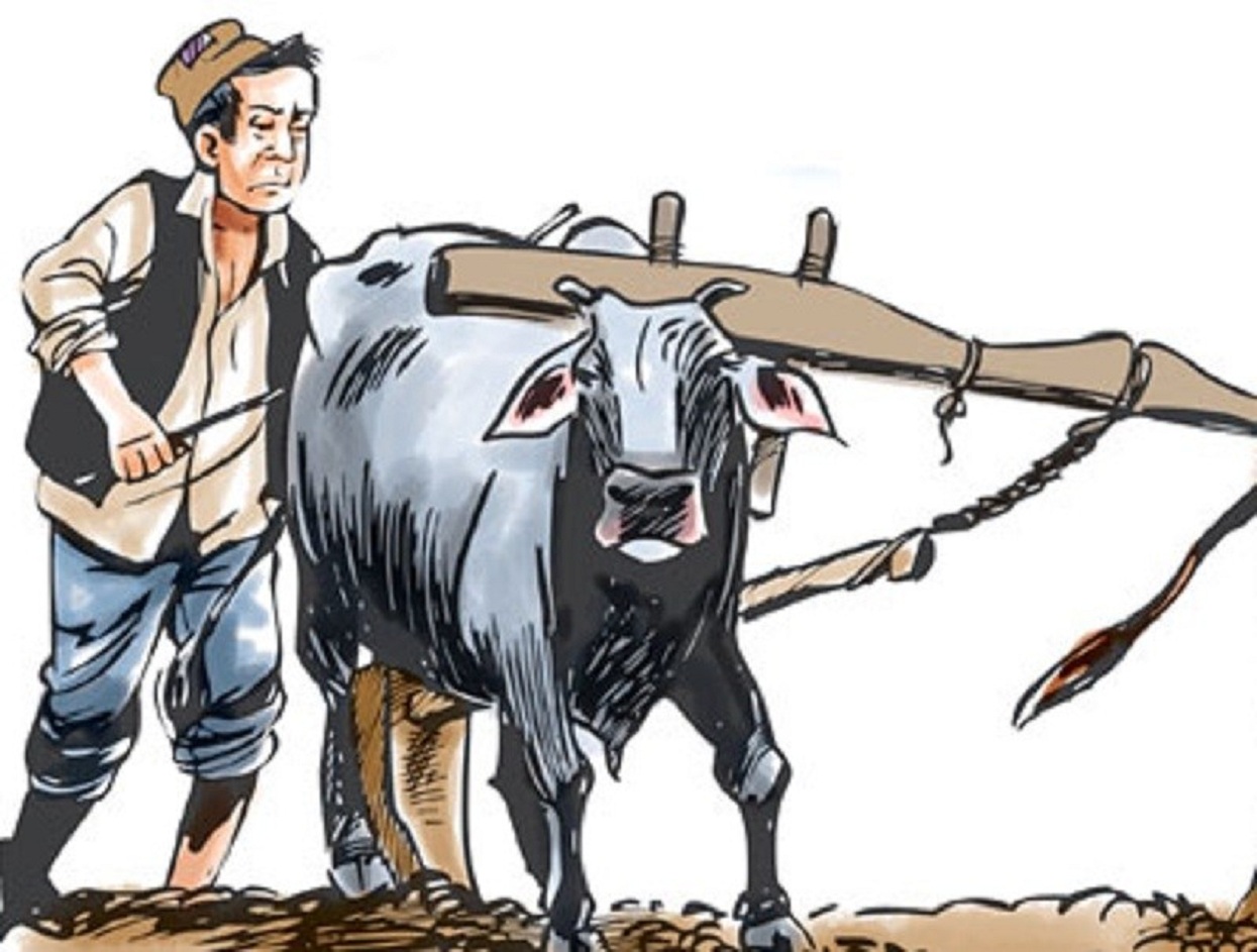 कमैया मुक्तिको २२ वर्ष : अझै पूर्ण पुनःस्थापन हुन सकेन