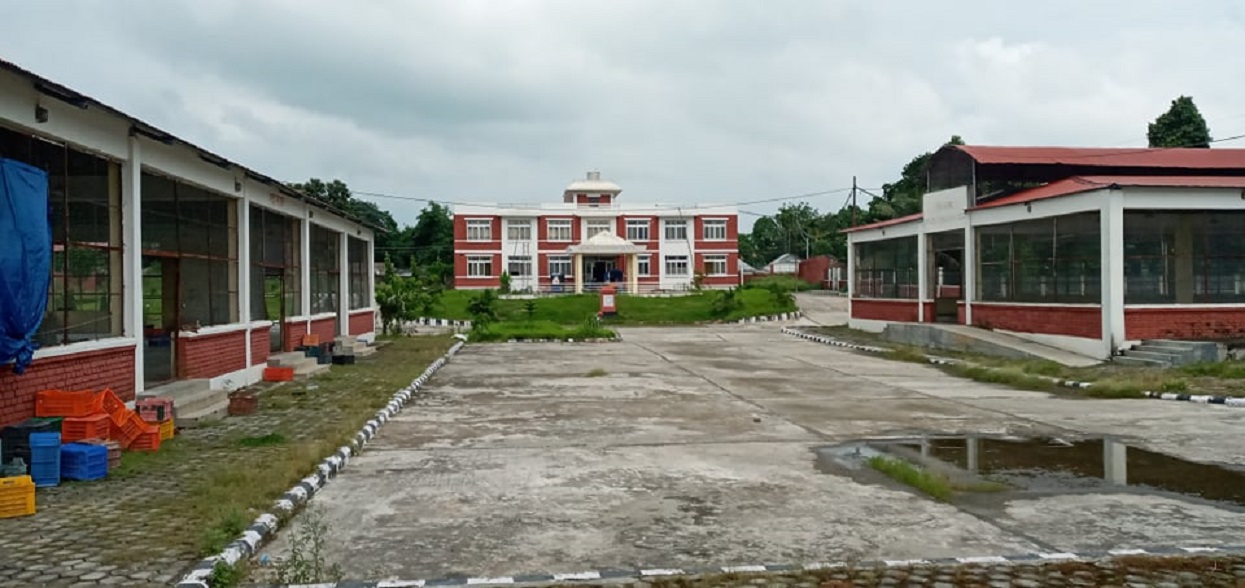 विराटनगरको एकीकृत कृषि बजार राजनीति, तालाचाबी सहकारीलाई