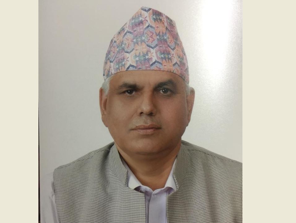 कांग्रेस प्रदेश १ को सभापतिमा ढुंगानाको दाबी
