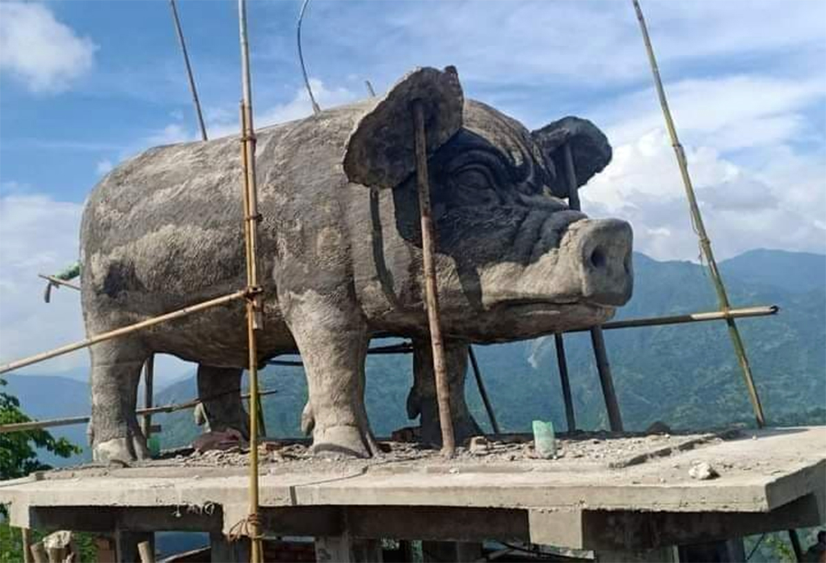 वराह अवतारको सम्झनामा बँदेलको प्रतिमा बनाएका हौं : प्रमुख प्रशासकीय अधिकृत निरौला
