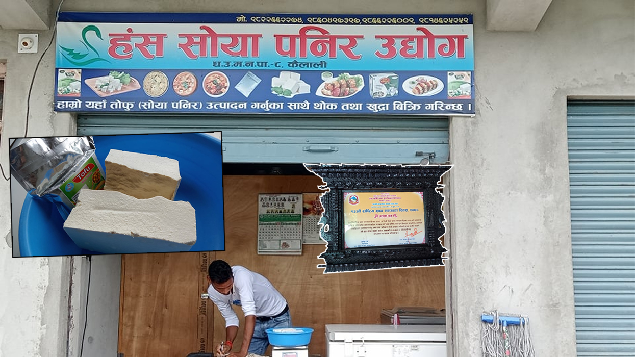 विदेशमा देखे, स्वदेश फर्केर उद्योग खोले