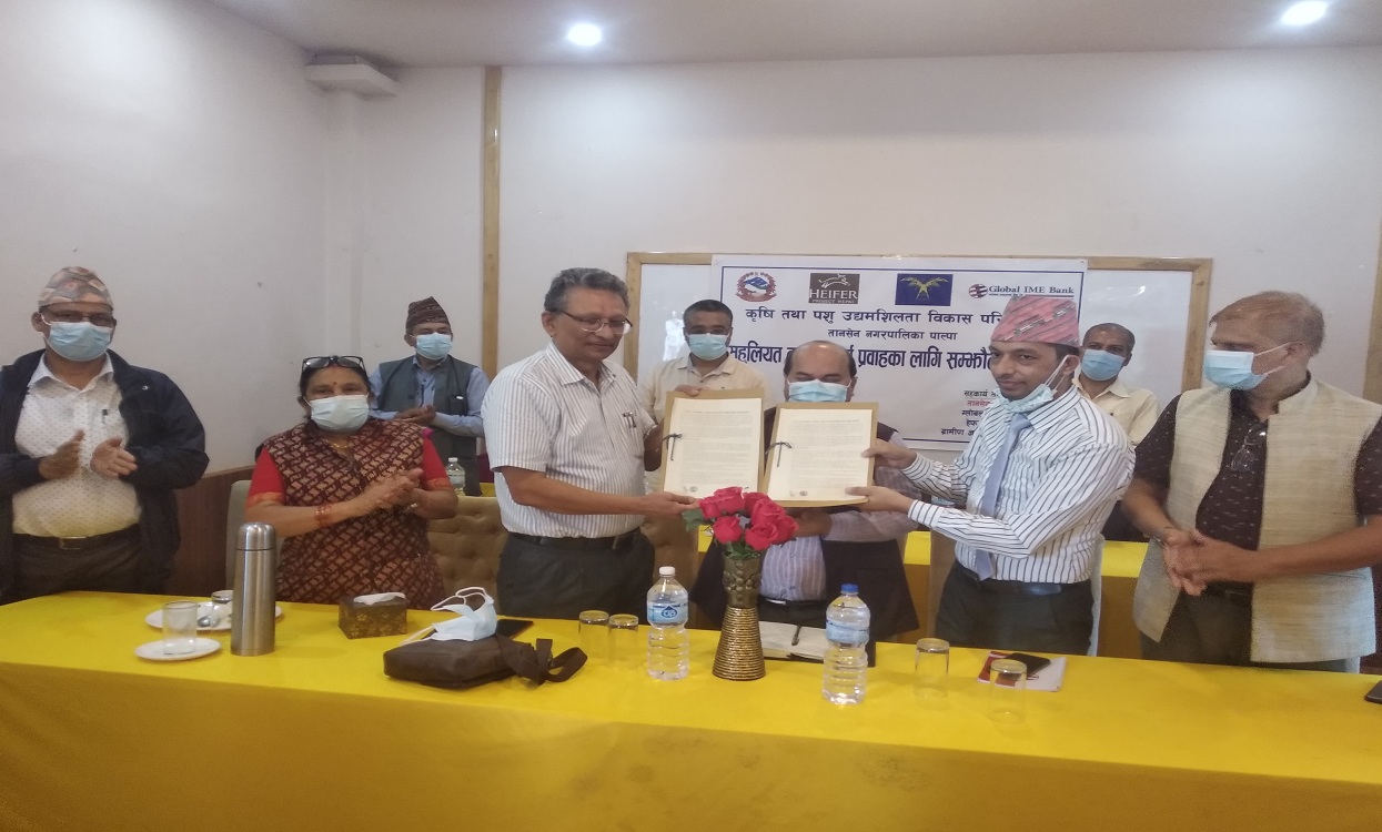 ग्लोबल बैंक र तानसेनबीच समझदारी पत्रमा हस्ताक्षर