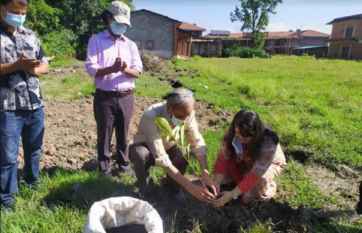 ग्लोबल आइएमई बैङ्क र त्रिविको सहकार्यमा वृक्षारोपण